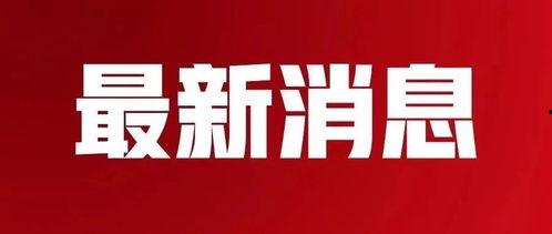 武安最新爆料消息新闻,揭秘事件背后惊人真相