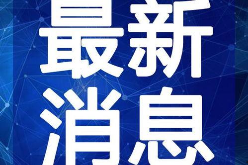 武汉制衣厂爆料视频最新,揭露行业黑幕与劳动权益挑战