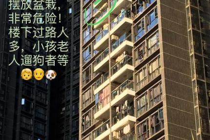 怀化租房爆料平台官网最新,最新房源信息汇总，揭秘租房陷阱与攻略！